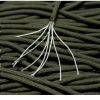 Corde Paracord 15M Kaki